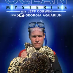 Ocean Mysteries with Jeff Corwin