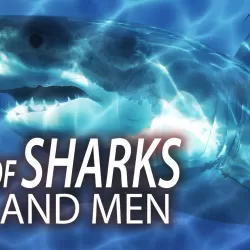 Of Sharks and Men