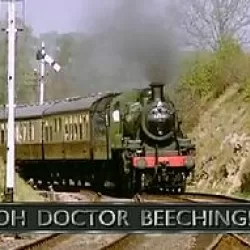 Oh, Doctor Beeching!