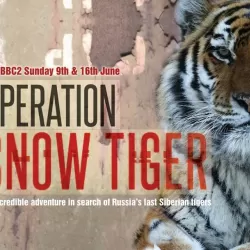 Operation Snow Tiger