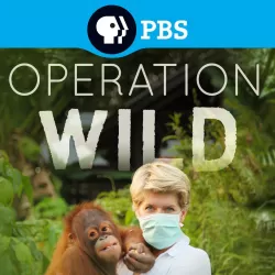 Operation Wild