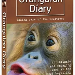 Orangutan Diary