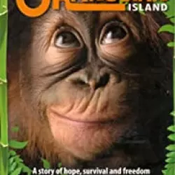 Orangutan Island