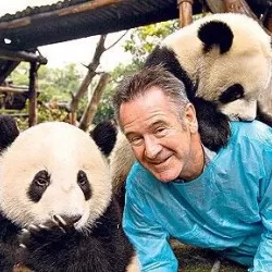 Panda Week with Nigel Marven