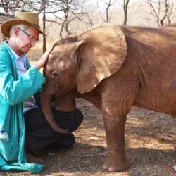 Paul O'Grady's Animal Orphans