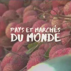 Pays Et Marches Du Monde