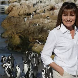 Penguin A&E with Lorraine Kelly