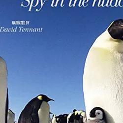 Penguin Spy In The Huddle