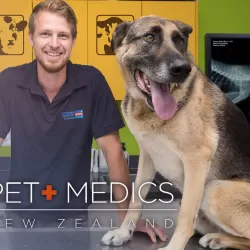 Pet Medics