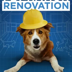 Pet Nation Renovation