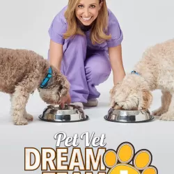 Pet Vet Dream Team