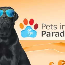 Pets in Paradise