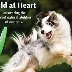 Pets - Wild at Heart