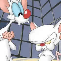 Pinky and the Brain