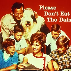 Please Don't Eat the Daisies