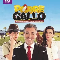 Pobre gallo