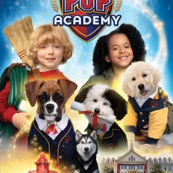 Pop Academy