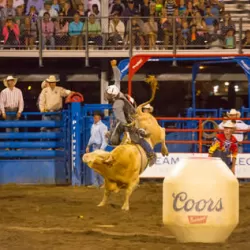 PRCA Rodeo