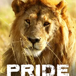 Pride -- Rulers at Risk