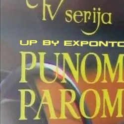 Punom parom