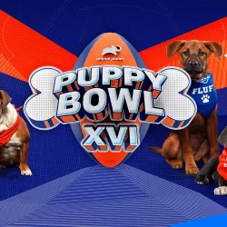 Puppy Bowl XVI Presents: Too Cute! For Puppy Bowl