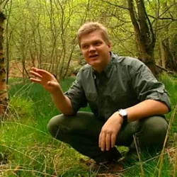 Ray Mears' Bushcraft