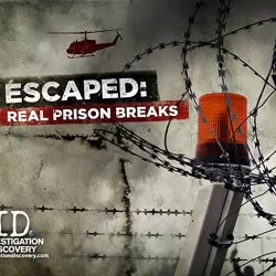 Real Prison Breaks