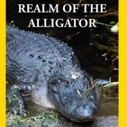 Realm of the Alligator