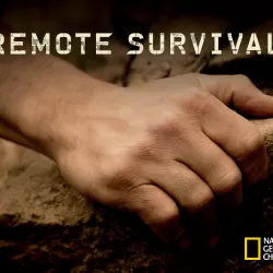 Remote Survival