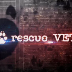 Rescue Vet