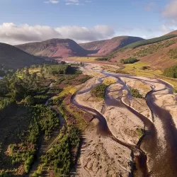 Rewilding Scotland