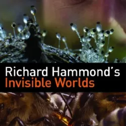 Richard Hammond's Invisible Worlds