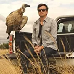 Richard Hammond's Miracles of Nature