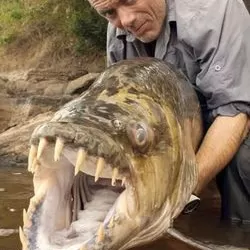 River Monsters Compilation