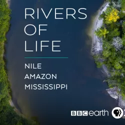 Rivers of Life