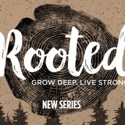 Rooted