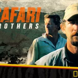 Safari Brothers