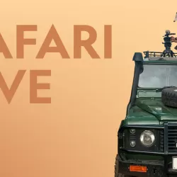 Safari Live