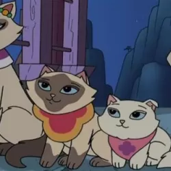 Sagwa The Chinese Siamese Cat