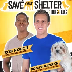 Save Our Shelter