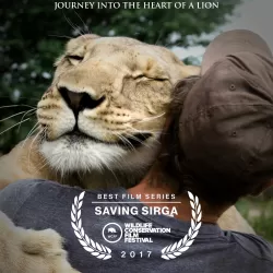 Saving Sirga: Journey into the Heart of a Lion