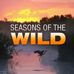 Seasons of the Wild