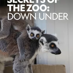 Secrets Of The Zoo: Down Under