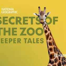 Secrets of the Zoo: Keeper Tales
