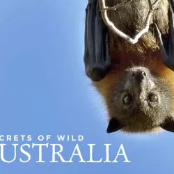 Secrets of Wild Australia