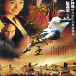 Shaolin King of Martial Arts