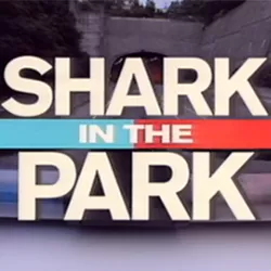 Shark in the Park