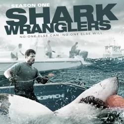 Shark Wranglers