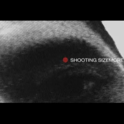 Shooting Sizemore