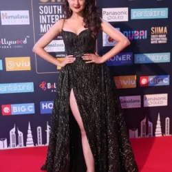 SIIMA 2018